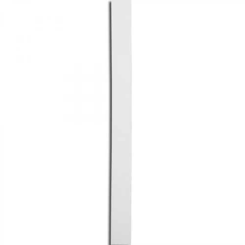 2008C