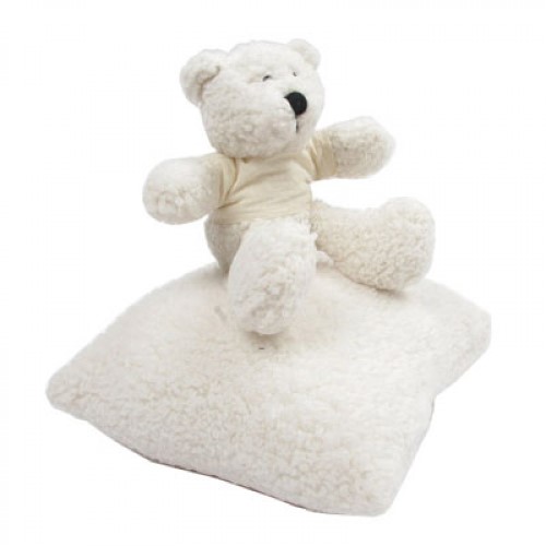 xtra1-cojin-teddy2