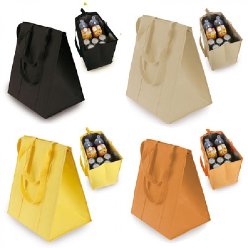 xtra1-bolsa-nevera170-2